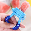 Chupeta de Fruta Introdução Alimentar – Mania de Bebê